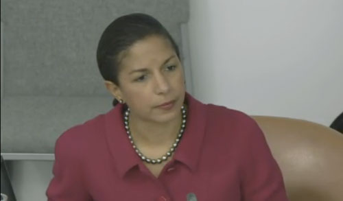 ambsusanrice-UN